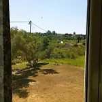 Sti Physi